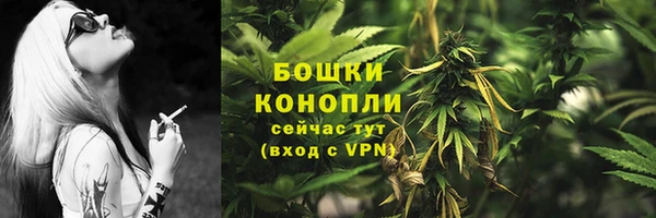 ГАЛЛЮЦИНОГЕННЫЕ ГРИБЫ Армянск
