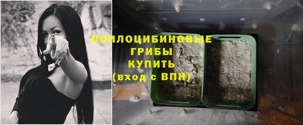 ГАЛЛЮЦИНОГЕННЫЕ ГРИБЫ Армянск