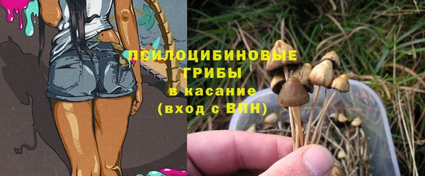 ГАЛЛЮЦИНОГЕННЫЕ ГРИБЫ Армянск