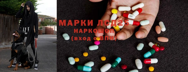 ГАЛЛЮЦИНОГЕННЫЕ ГРИБЫ Армянск